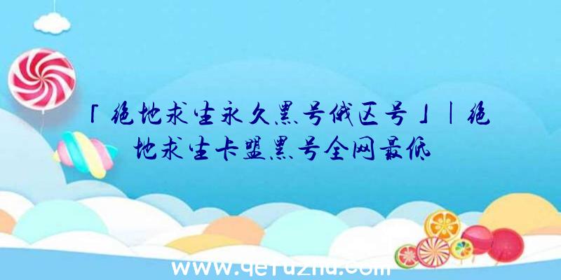 「绝地求生永久黑号俄区号」|绝地求生卡盟黑号全网最低